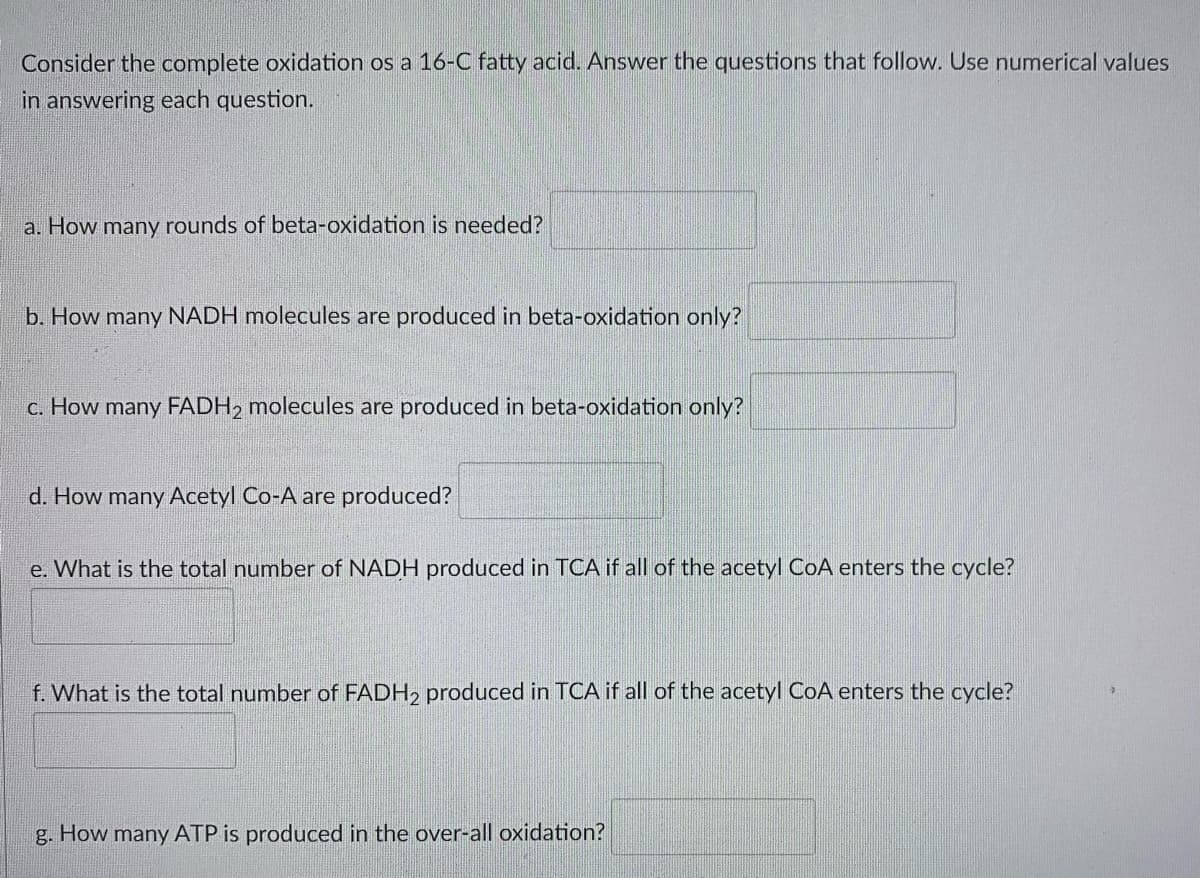 Consider the complete oxidation os a 16-C fatty acid. Answer the questions that follow. Use numerical values
in answering each question.
a. How many rounds of beta-oxidation is needed?
b. How many NADH molecules are produced in beta-oxidation only?
c. How many FADH2 molecules are produced in beta-oxidation only?
d. How many Acetyl Co-A are produced?
e. What is the total number of NADH produced in TCA if all of the acetyl CoA enters the cycle?
f. What is the total number of FADH2 produced in TCA if all of the acetyl CoA enters the cycle?
g. How many ATP is produced in the over-all oxidation?
