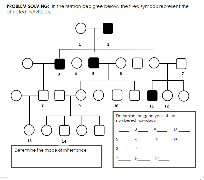 PROBLEM SOLVING: In the human pedigree below, the filled symbols represent the
affected individuals.
1
4 5
6
7
11
8
10
12
Determine the genotypes of the
numbered individuals
1
5
13
-
6_
10
14
13
14
Determine the mode of Inheritance
7.
11
8
12
4.
2.
3.
