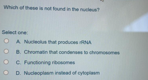 Which of these is not found in the nucleus?
Select one:
A. Nucleolus that produces rRNA
B. Chromatin that condenses to chromosomes
C. Functioning ribosomes
O D. Nucleoplasm instead of cytoplasm
