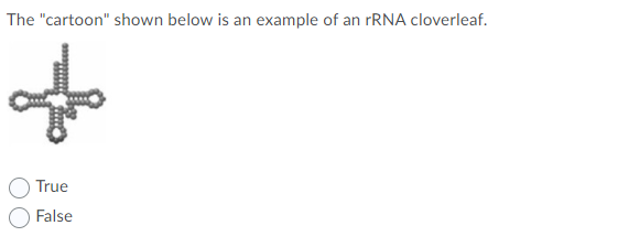 The "cartoon" shown below is an example of an rRNA cloverleaf.
True
False
