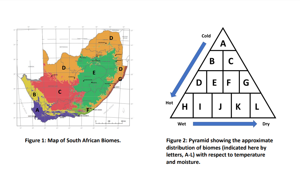 Cold
A
BC
E
/DEF
G
C
Hot
H.
J
KL
Wet
Dry
Figure 1: Map of South African Biomes.
Figure 2: Pyramid showing the approximate
distribution of biomes (indicated here by
letters, A-L) with respect to temperature
and moisture.
