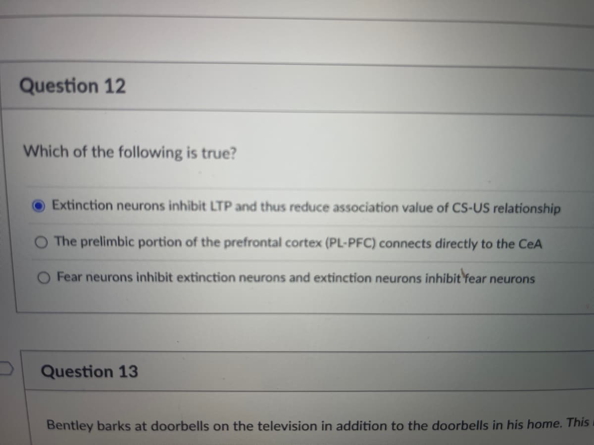 Question 12
Which of the following is true?
Extinction neurons inhibit LTP and thus reduce association value of CS-US relationship
O The prelimbic portion of the prefrontal cortex (PL-PFC) connects directly to the CeA
Fear neurons inhibit extinction neurons and extinction neurons inhibit fear neurons
Question 13
Bentley barks at doorbells on the television in addition to the doorbells in his home. This