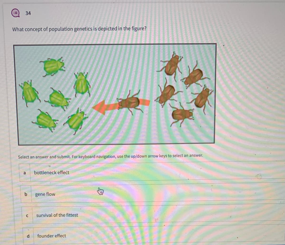 34
What concept of population genetics is depicted in the figure?
Select an answer and submit. For keyboard navigation, use the up/down arrow keys to select an answer.
a
bottleneck effect
gene flow
survival of the fittest
founder effect
身
