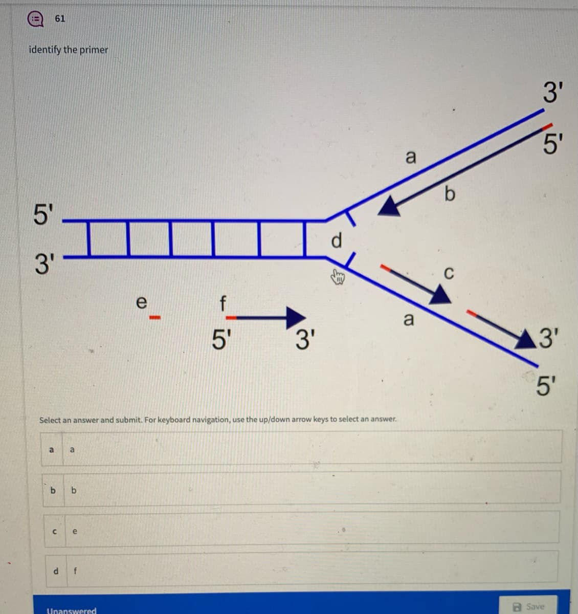 61
identify the primer
3'
5'
a
5'
3'
C
e
f
a
5'
3'
3'
5'
Select an answer and submit. For keyboard navigation, use the up/down arrow keys to select an answer.
a
a
b
b
e
f
a Save
Unanswered
