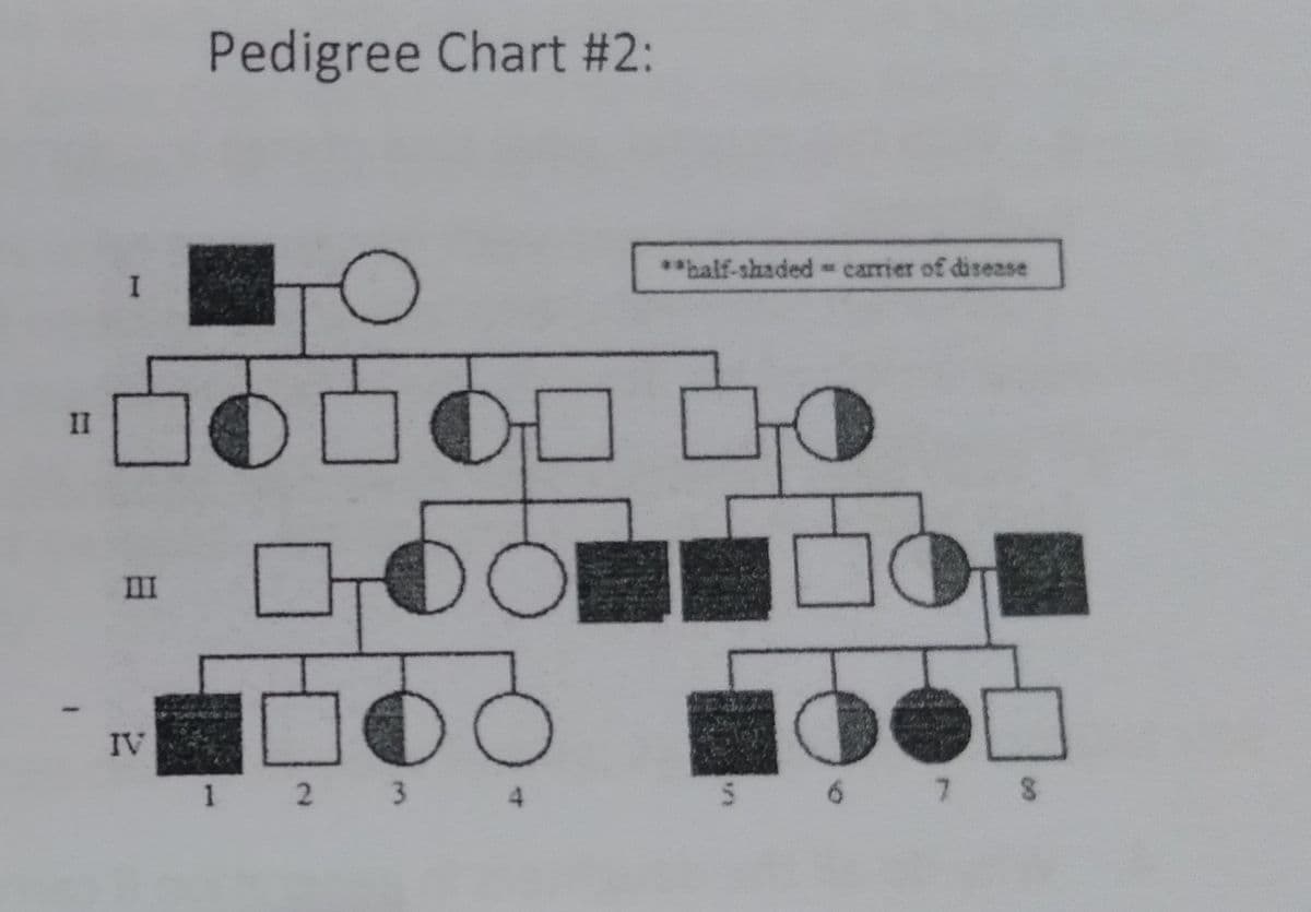 Pedigree Chart #2:
**balf-shaded
- carrier of disease
II
III
IV
1 2 3
4.
7 S
