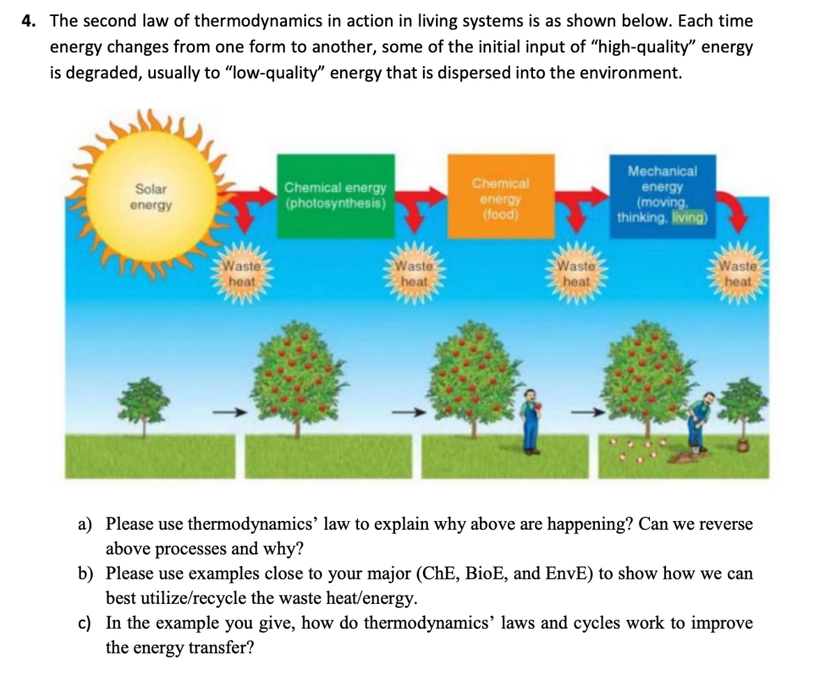 4. The second law of thermodynamics in action in living systems is as shown below. Each time
energy changes from one form to another, some of the initial input of "high-quality" energy
is degraded, usually to "low-quality" energy that is dispersed into the environment.
Solar
energy
Waste
heat
Chemical energy
(photosynthesis)
Waste
heat
Chemical
energy
(food)
Waste
heat
Mechanical
energy
(moving
thinking, living)
Waste
heat
a) Please use thermodynamics' law to explain why above are happening? Can we reverse
above processes and why?
b) Please use examples close to your major (ChE, BioE, and EnvE) to show how we can
best utilize/recycle the waste heat/energy.
c) In the example you give, how do thermodynamics' laws and cycles work to improve
the energy transfer?