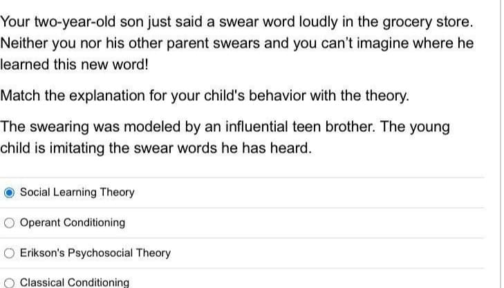 Your two-year-old son just said a swear word loudly in the grocery store.
Neither you nor his other parent swears and you can't imagine where he
learned this new word!
Match the explanation for your child's behavior with the theory.
The swearing was modeled by an influential teen brother. The young
child is imitating the swear words he has heard.
Social Learning Theory
Operant Conditioning
O Erikson's Psychosocial Theory
O Classical Conditioning
