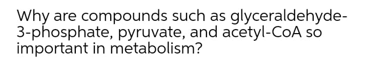 Why are compounds such as glyceraldehyde-
3-phosphate, pyruvate, and acetyl-CoA so
important in metabolism?
