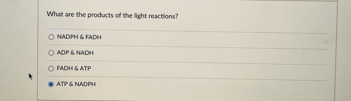 What are the products of the light reactions?
NADPH & FADH
O ADP & NADH
O FADH & ATP
ATP & NADPH