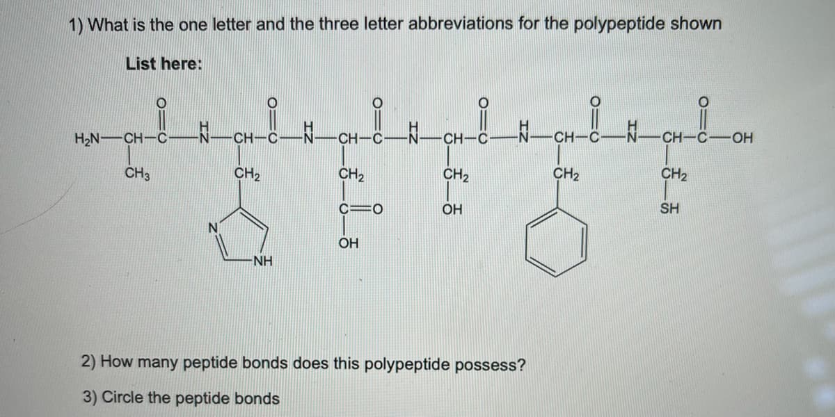 1) What is the one letter and the three letter abbreviations for the polypeptide shown
List here:
H2N-CH-C
CH-C
CH-C-
CH-C
CH
CH
CH3
CH2
CH2
CH2
CH2
CH2
C=O
OH
SH
OH
NH
2) How many peptide bonds does this polypeptide possess?
3) Circle the peptide bonds
