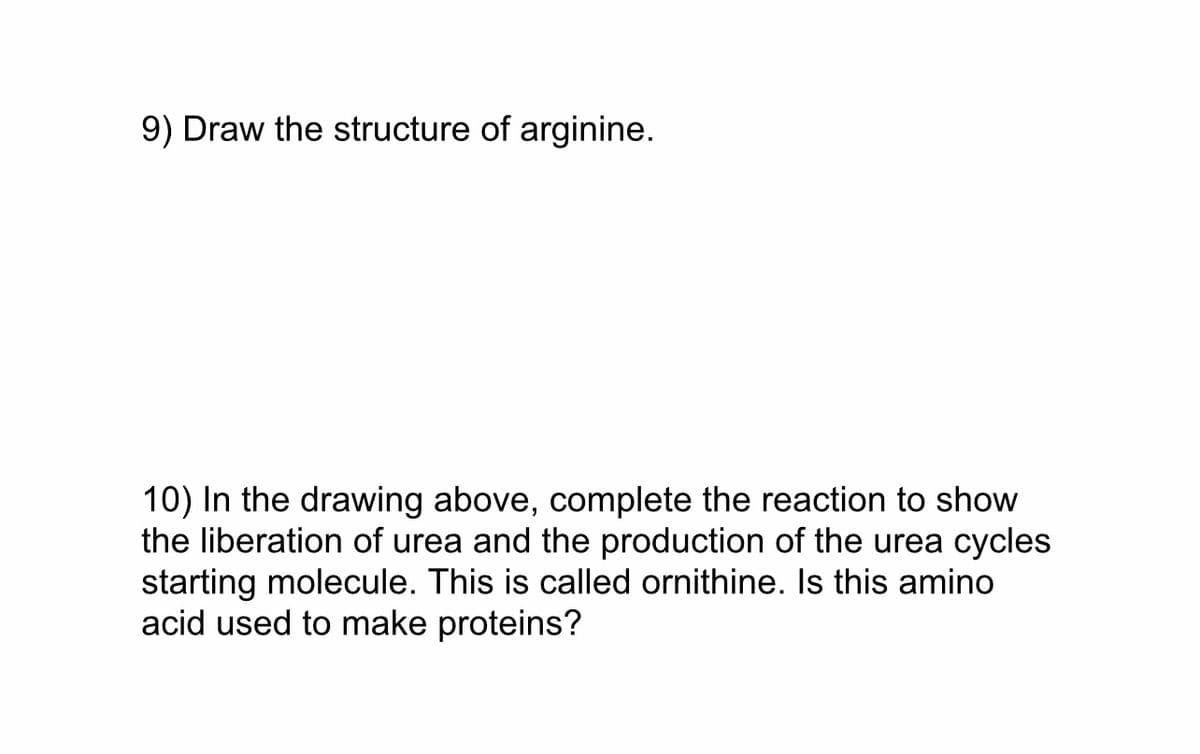 9) Draw the structure of arginine.
10) In the drawing above, complete the reaction to show
the liberation of urea and the production of the urea cycles
starting molecule. This is called ornithine. Is this amino
acid used to make proteins?
