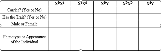 XPXd
XPY
XPXD
XªY
Carrier? (Yes or No)
Has the Trait? (Yes or No)
Male or Female
Phenotype or Appearance
of the Individual
