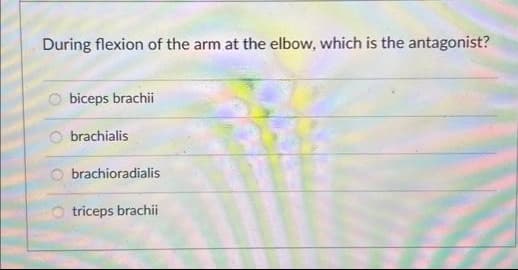 During flexion of the arm at the elbow, which is the antagonist?
Obiceps brachii
brachialis
brachioradialis
triceps brachii
O
O