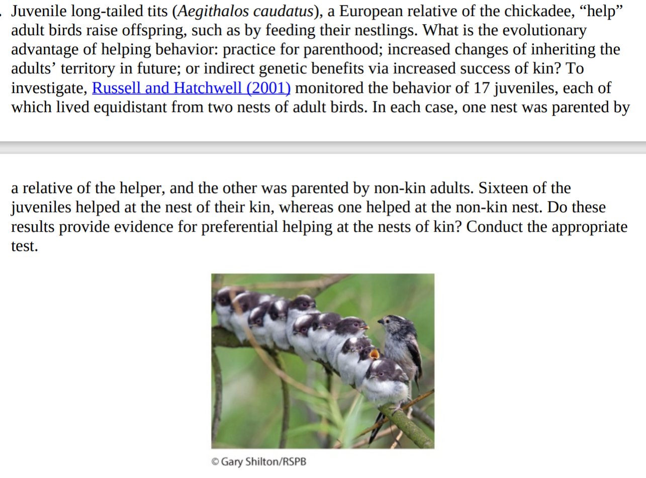 Juvenile long-tailed tits (Aegithalos caudatus), a European relative of the chickadee, “help"
adult birds raise offspring, such as by feeding their nestlings. What is the evolutionary
advantage of helping behavior: practice for parenthood; increased changes of inheriting the
adults’ territory in future; or indirect genetic benefits via increased success of kin? To
investigate, Russell and Hatchwell (2001) monitored the behavior of 17 juveniles, each of
which lived equidistant from two nests of adult birds. In each case, one nest was parented by
a relative of the helper, and the other was parented by non-kin adults. Sixteen of the
juveniles helped at the nest of their kin, whereas one helped at the non-kin nest. Do these
results provide evidence for preferential helping at the nests of kin? Conduct the appropriate
test.

