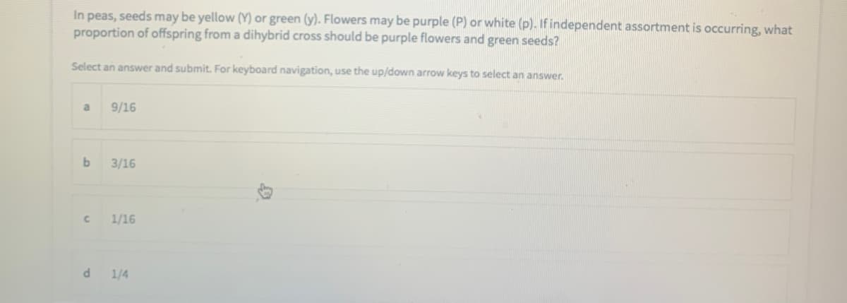 In peas, seeds may be yellow (Y) or green (y). Flowers may be purple (P) or white (p). If independent assortment is occurring, what
proportion of offspring from a dihybrid cross should be purple flowers and green seeds?
Select an answer and submit. For keyboard navigation, use the up/down arrow keys to select an answer.
a
9/16
3/16
1/16
1/4
