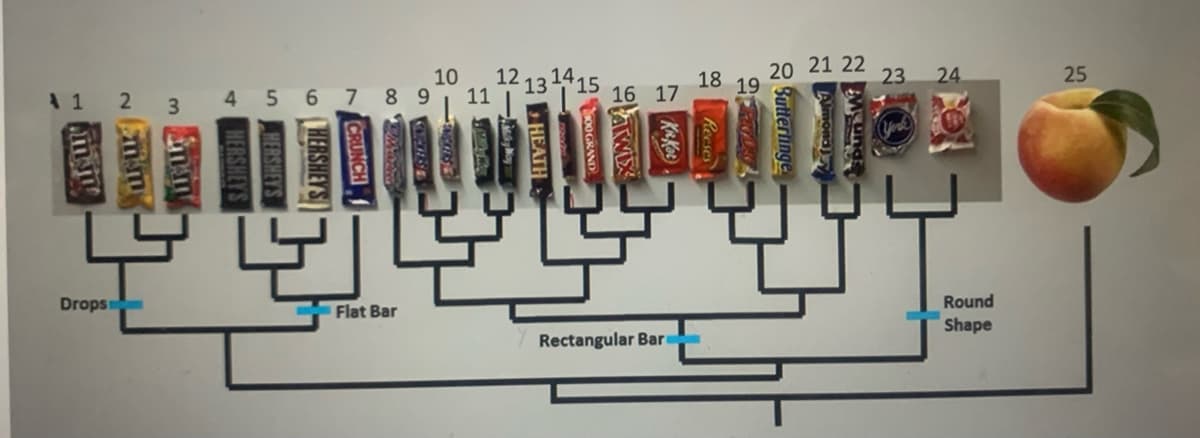 4 5 6 7 8 9
20 21 22
23
Drops
Flat Bar
Round
Shape
Rectangular Bar
25
Mund
Almonay
2 Buttertinge
9 Reeses
0OGRAND
MHEATH
NCRUNCH
O HERSHEYS
HERSHEY'S
HERSHEY'S
3.
LLu N
