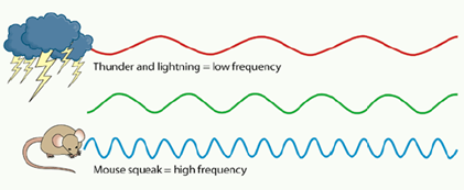 Thunder and lightning = low frequency
Mouse squeak = high frequency
