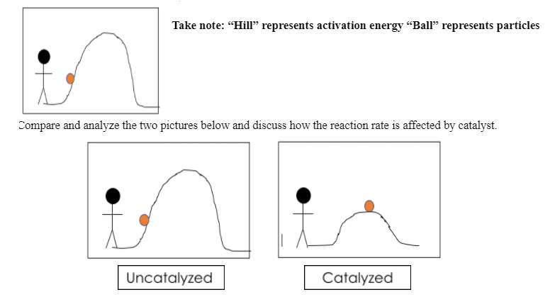 Take note: “Hill" represents activation energy "Ball" represents particles
Compare and analyze the two pictures below and discuss how the reaction rate is affected by catalyst.
Uncatalyzed
Catalyzed
