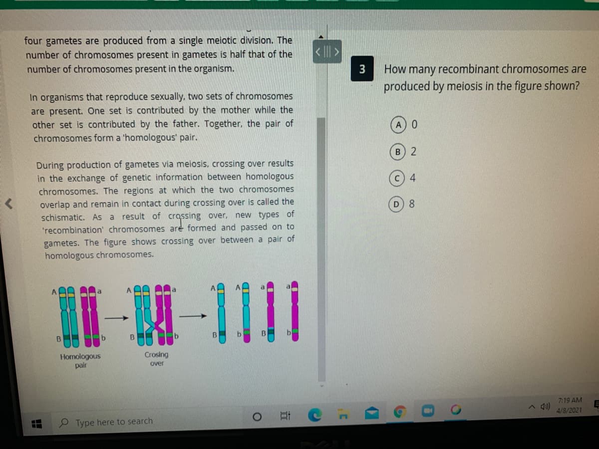 four gametes are produced from a single meiotic division. The
number of chromosomes present in gametes is half that of the
number of chromosomes present in the organism.
< II >
3
How many recombinant chromosomes are
produced by meiosis in the figure shown?
In organisms that reproduce sexually, two sets of chromosomes
are present. One set is contributed by the mother while the
other set is contributed by the father. Together, the pair of
A0
chromosomes form a 'homologous' pair.
During production of gametes via meiosis, crossing over results
in the exchange of genetic information between homologous
chromosomes. The regions at which the two chromosomes
overlap and remain in contact during crossing over is called the
schismatic. As a result of crassing over, new types of
'recombination' chromosomes are formed and passed on to
gametes. The figure shows crossing over between a pair of
homologous chromosomes.
4
8.
W-111
BA b
b
b
Crosing
Homologous
pair
over
7:19 AM
4/8/2021
O Type here to search
OF
