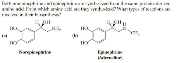 Both norepinephrine and epinephrine are synthesized from the same protein-derived
amino acid. From which amino acid are they synthesized? What types of reactions are
involved in their biosynthesis?
н он
H OH
H
HO.
NH,
НО.
CH3
(a)
(b)
HO
НО
Norepinephrine
Epinephrine
(Adrenaline)
