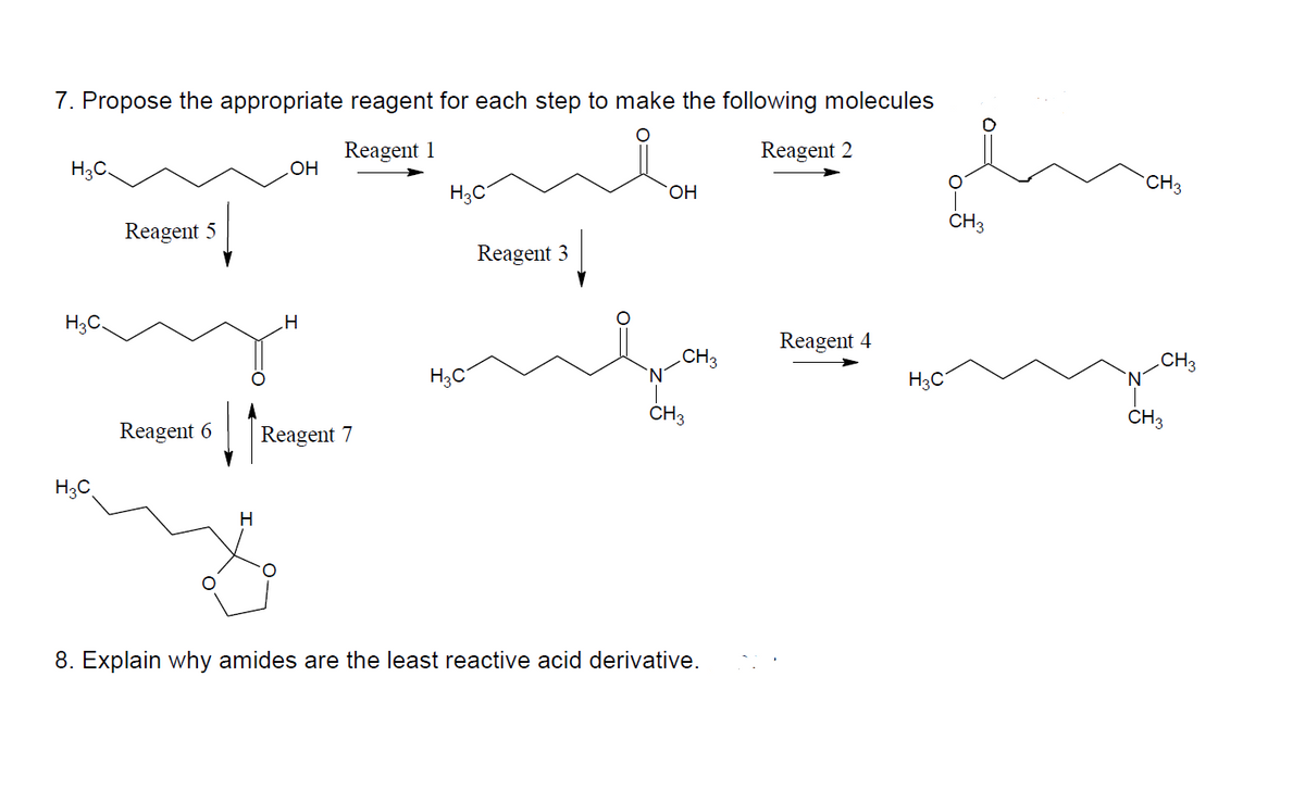 7. Propose the appropriate reagent for each step to make the following molecules
Reagent 1
Reagent 2
H3C.
H3C
H3C
Reagent 5
Reagent 6
H
OH
H
Reagent 7
H3C
H3C
Reagent 3
OH
CH3
N
CH3
8. Explain why amides are the least reactive acid derivative.
Reagent 4
H3C
CH 3
CH3
CH3
CH3