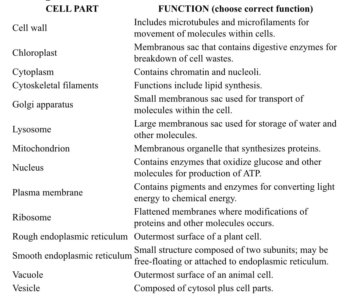 CELL PART
FUNCTION (choose correct function)
Includes microtubules and microfilaments for
Cell wall
movement of molecules within cells.
Membranous sac that contains digestive enzymes for
Chloroplast
breakdown of cell wastes.
Cytoplasm
Contains chromatin and nucleoli.
Functions include lipid synthesis.
Small membranous sac used for transport of
Cytoskeletal filaments
Golgi apparatus
molecules within the cell.
Large membranous sac used for storage of water and
Lysosome
other molecules.
Mitochondrion
Membranous organelle that synthesizes proteins.
Contains enzymes that oxidize glucose and other
molecules for production of ATP.
Contains pigments and enzymes for converting light
energy to chemical energy.
Nucleus
Plasma membrane
Flattened membranes where modifications of
Ribosome
proteins and other molecules occurs.
Rough endoplasmic reticulum Outermost surface of a plant cell.
Small structure composed of two subunits; may be
free-floating or attached to endoplasmic reticulum.
Smooth endoplasmic reticulum
Vacuole
Outermost surface of an animal cell.
Vesicle
Composed of cytosol plus cell parts.
