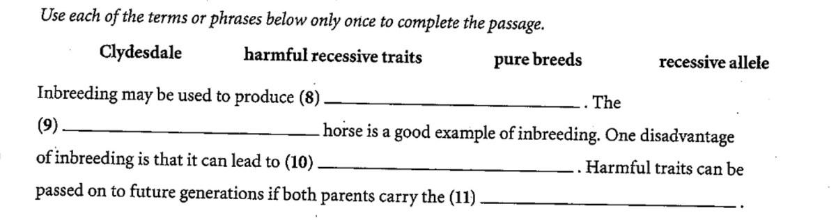 Use each of the terms or phrases below only once to complete the passage.
Clydesdale
harmful recessive traits
pure breeds
recessive allele
Inbreeding may be used to produce (8).
.. The
(9)
horse is a good example of inbreeding. One disadvantage
of inbreeding is that it can lead to (10) –
Harmful traits can be
passed on to future generations if both parents carry the (11).
