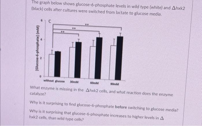 The graph below shows glucose-6-phosphate levels in wild type (white) and Ahxk2
(black) cells after cultures were switched from lactate to glucose media.
without glucose
30mM
60mM
What enzyme is missing in the Ahxk2 cells, and what reaction does the enzyme
catalyze?
Why is it surprising to find glucose-ó-phosphate before switching to glucose media?
Why is it surprising that glucose-6-phosphate increases to higher levels in A
hxk2 cells, than wild type cells?
[Glucose-6-phosphate] (mM)
