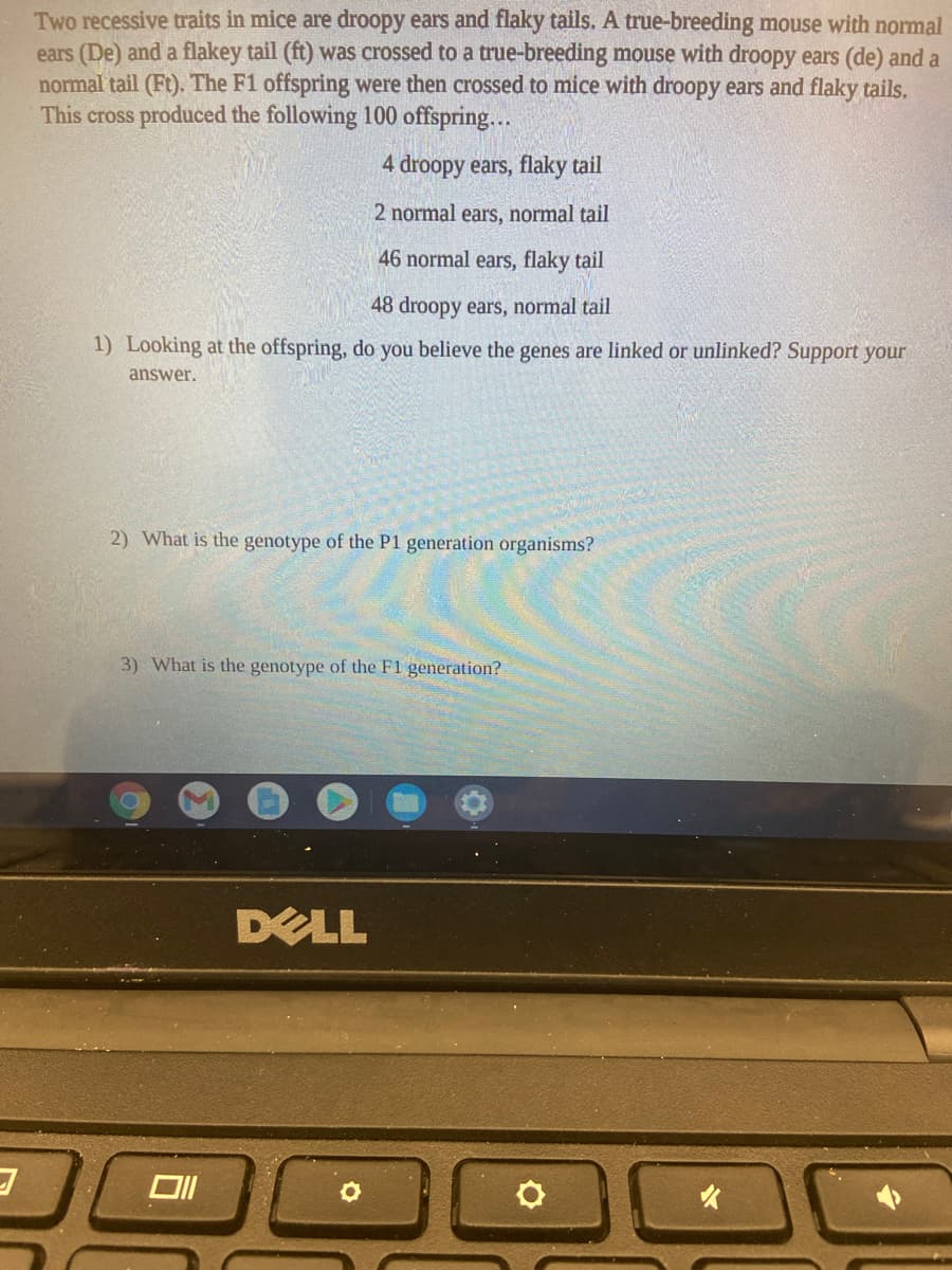Two recessive traits in mice are droopy ears and flaky tails. A true-breeding mouse with normal
ears (De) and a flakey tail (ft) was crossed to a true-breeding mouse with droopy ears (de) and a
normal tail (Ft). The F1 offspring were then crossed to mice with droopy ears and flaky tails.
This cross produced the following 100 offspring...
4 droopy ears, flaky tail
2 normal ears, normal tail
46 normal ears, flaky tail
48 droopy ears, normal tail
1) Looking at the offspring, do you believe the genes are linked or unlinked? Support your
answer.
2) What is the genotype of the P1 generation organisms?
3) What is the genotype of the F1 generation?
DELL

