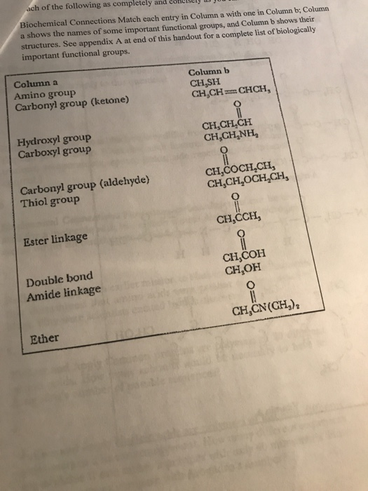 ach of the following as completely and
Biochemical Connections Match each entry in Column a with one in Column b; Column
a shows the names of some important functional groups, and Column b shows their
structures. See appendix A at end of this handout for a complete list of biologically
important functional groups.
Column a
Column b
Amino group
Carbonyl group (ketone)
CH,SH
CH,CH=CHCH,
Hydroxyl group
Carboxyl group
CH,CH,CH
CH,CH,NH,
Carbonyl group (aldehyde)
Thiol group
CH,COCH,CH,
CH,CH,OCH,CH,
CH,CH,
Ester linkage
CH,COH
CH,OH
Double bond
Amide linkage
CH,CN(CH,),
Ether
