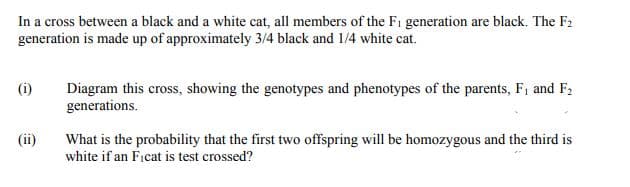 In a cross between a black and a white cat, all members of the Fi generation are black. The F2
generation is made up of approximately 3/4 black and 1/4 white cat.
(i)
Diagram this cross, showing the genotypes and phenotypes of the parents, F, and F2
generations.
What is the probability that the first two offspring will be homozygous and the third is
white if an Ficat is test crossed?

