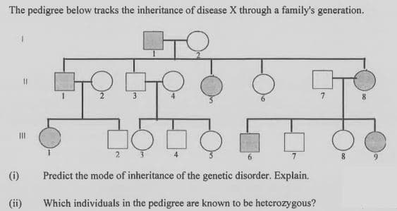 The pedigree below tracks the inheritance of disease X through a family's generation.
3
II
2 3
4
7.
6.
(i)
Predict the mode of inheritance of the genetic disorder. Explain.
(ii)
Which individuals in the pedigree are known to be heterozygous?
