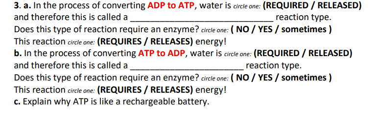 3. a. In the process of converting ADP to ATP, water is circle one: (REQUIRED / RELEASED)
and therefore this is called a
reaction type.
Does this type of reaction require an enzyme? circle one: ( NO / YES / sometimes )
This reaction circle one: (REQUIRES / RELEASES) energy!
b. In the process of converting ATP to ADP, water is circle one: (REQUIRED / RELEASED)
and therefore this is called a
reaction type.
Does this type of reaction require an enzyme? circle one: ( NO / YES / sometimes )
This reaction circle one: (REQUIRES / RELEASES) energy!
c. Explain why ATP is like a rechargeable battery.
