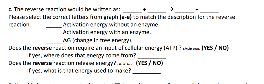 c. The reverse reaction would be written as:
+
Please select the correct letters from graph (a-e) to match the description for the reverse
Activation energy without an enzyme.
Activation energy with an enzyme.
AG (change in free energy).
reaction.
Does the reverse reaction require an input
cellular energy (ATP) ? circle one: (YES / NO)
If yes, where does that energy come from?
Does the reverse reaction release energy? circle one: (YES / NO)
If yes, what is that energy used to make?
