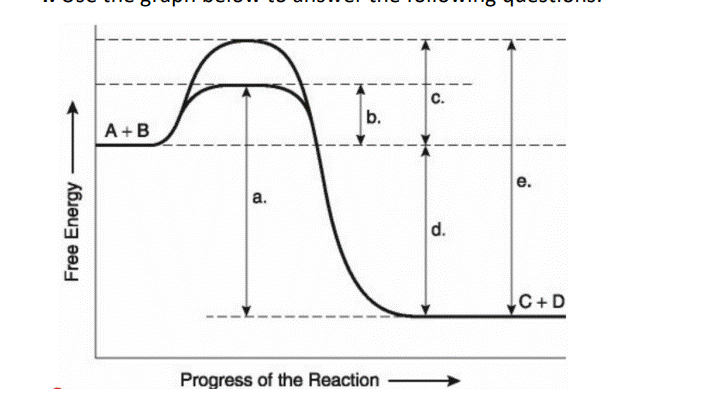 C.
b.
A+B
e.
a.
d.
C+D
Progress of the Reaction
Free Energy
