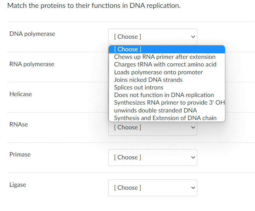 Match the proteins to their functions in DNA replication.
DNA polymerase
RNA polymerase
Helicase
RNAse
Primase
Ligase
[Choose ]
[Choose ]
Chews up RNA primer after extension
Charges tRNA with correct amino acid
Loads polymerase onto promoter
Joins nicked DNA strands
Splices out introns
Does not function in DNA replication
Synthesizes RNA primer to provide 3' OH
unwinds double stranded DNA
Synthesis and Extension of DNA chain
[Choose ]
[Choose ]
[Choose ]
>
>
