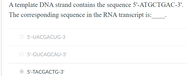 A template DNA strand contains the sequence 5'-ATGCTGAC-3'.
The corresponding sequence in the RNA transcript is:_
5'-UACGACUG-3
5'-GUCAGCAU-3'
5'-TACGACTG-3'