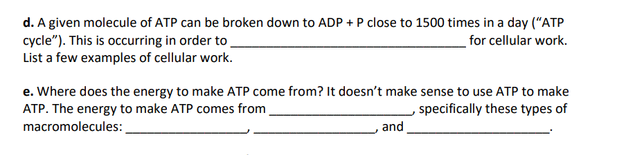 d. A given molecule of ATP can be broken down to ADP + P close to 1500 times in a day (“ATP
cycle"). This is occurring in order to
List a few examples of cellular work.
for cellular work.
e. Where does the energy to make ATP come from? It doesn't make sense to use ATP to make
ATP. The energy to make ATP comes from
specifically these types of
macromolecules:
and
