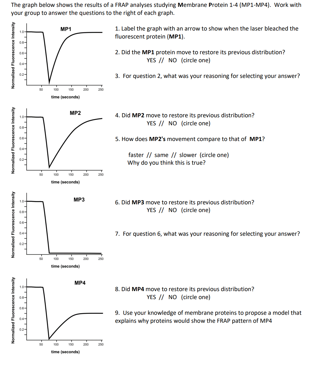 The graph below shows the results of a FRAP analyses studying Membrane Protein 1-4 (MP1-MP4). Work with
your group to answer the questions to the right of each graph.
MP1
1. Label the graph with an arrow to show when the laser bleached the
1.0-
fluorescent protein (MP1).
0.8-
0.6-
2. Did the MP1 protein move to restore its previous distribution?
YES // NO (circle one)
0.4-
0.2-
3. For question 2, what was your reasoning for selecting your answer?
50
100
150
200
250
time (seconds)
MP2
4. Did MP2 move to restore its previous distribution?
YES // NO (circle one)
1.0-
0.8-
0.6-
5. How does MP2's movement compare to that of MP1?
0.4-
faster // same // slower (circle one)
Why do you think this is true?
0.2-
50
100
150
200
250
time (seconds)
MP3
1.0-
6. Did MP3 move to restore its previous distribution?
YES // NO (circle one)
0.8-
0.6-
7. For question 6, what was your reasoning for selecting your answer?
0.4-
0.2-
50
100
150
200
250
time (seconds)
MP4
1.0-
8. Did MP4 move to restore its previous distribution?
YES // NO (circle one)
0.8-
0.6-
9. Use your knowledge of membrane proteins to propose a model that
explains why proteins would show the FRAP pattern of MP4
0.4-
0.2-
50
100
150
200
250
time (seconds)
Normalized Fluorescence Intensity
Normalized Fluorescence Intensity
Normalized Fluorescence Intensity
Normalized Fluorescence Intensity
