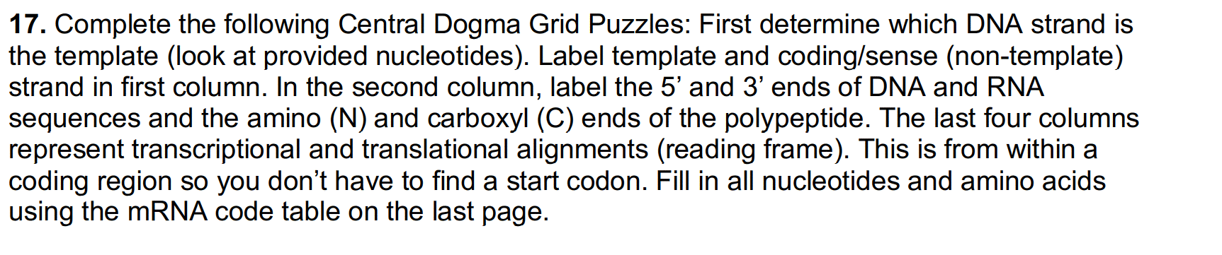17. Complete the following Central Dogma Grid Puzzles: First determine which DNA strand is
the template (look at provided nucleotides). Label template and coding/sense (non-template)
strand in first column. In the second column, label the 5' and 3' ends of DNA and RNA
sequences and the amino (N) and carboxyl (C) ends of the polypeptide. The last four columns
represent transcriptional and translational alignments (reading frame). This is from within a
coding region so you don't have to find a start codon. Fill in all nucleotides and amino acids
using the MRNA code table on the last page.
