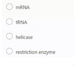 O MRNA
O TRNA
O helicase
O restriction enzyme
