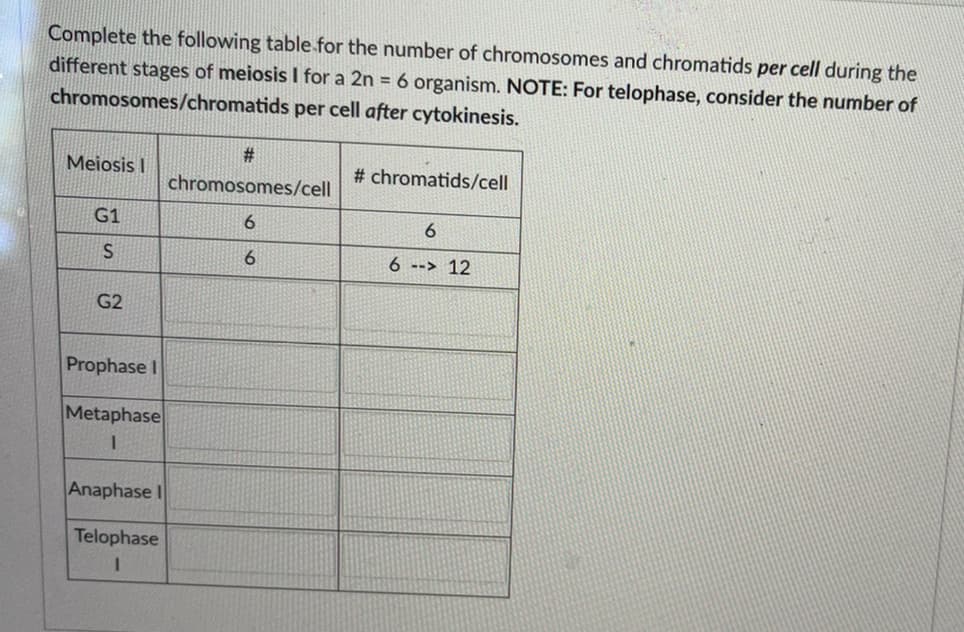 Complete the following table for the number of chromosomes and chromatids per cell during the
different stages of meiosis I for a 2n = 6 organism. NOTE: For telophase, consider the number of
chromosomes/chromatids per cell after cytokinesis.
#
Meiosis I
#chromatids/cell
chromosomes/cell
G1
6
6
S
6
6 - 12
G2
Prophase I
Metaphase
1
Anaphase I
Telophase
I