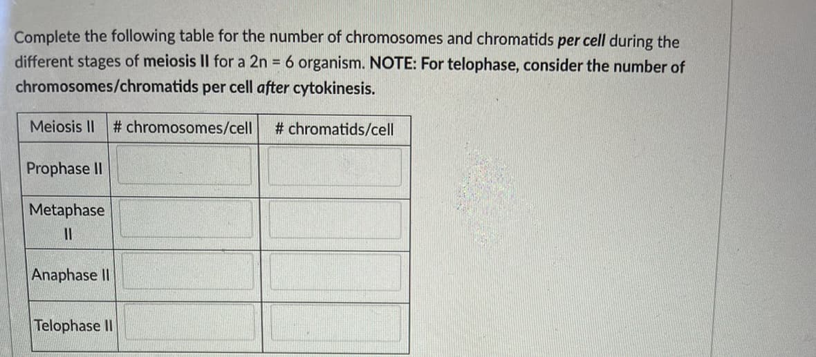 Complete the following table for the number of chromosomes and chromatids per cell during the
different stages of meiosis II for a 2n = 6 organism. NOTE: For telophase, consider the number of
chromosomes/chromatids
per cell after cytokinesis.
Meiosis II #chromosomes/cell
#chromatids/cell
Prophase II
Metaphase
11
Anaphase II
Telophase II