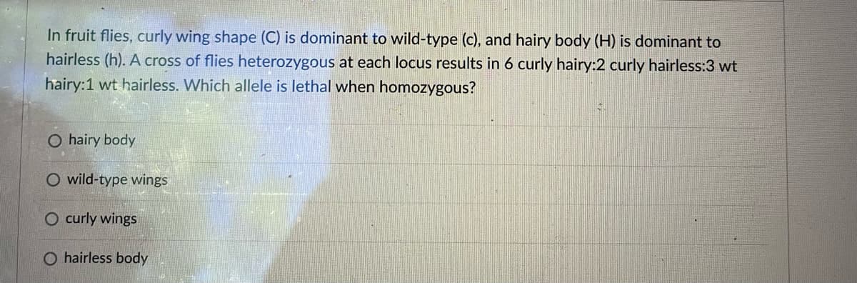 In fruit flies, curly wing shape (C) is dominant to wild-type (c), and hairy body (H) is dominant to
hairless (h). A cross of flies heterozygous at each locus results in 6 curly hairy:2 curly hairless:3 wt
hairy:1 wt hairless. Which allele is lethal when homozygous?
O hairy body
O wild-type wings
curly wings
O hairless body