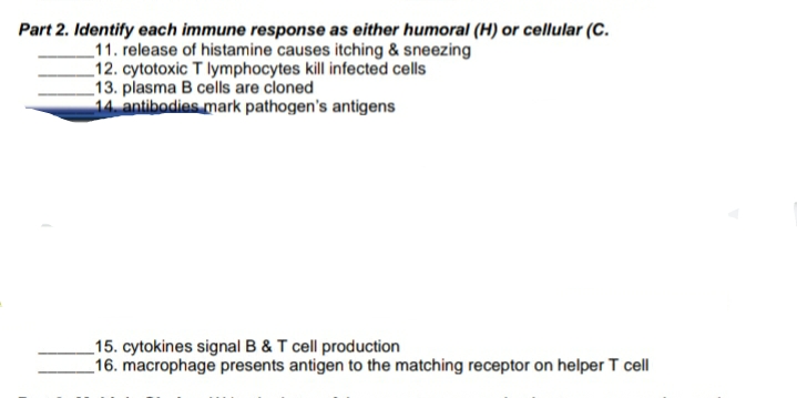 Part 2. Identify each immune response as either humoral (H) or cellular (C.
_11. release of histamine causes itching & sneezing
_12. cytotoxic T lymphocytes kill infected cells
13. plasma B cells are cloned
14 antibodies mark pathogen's antigens
_15. cytokines signal B & T cell production
16. macrophage presents antigen to the matching receptor on helper T cell
