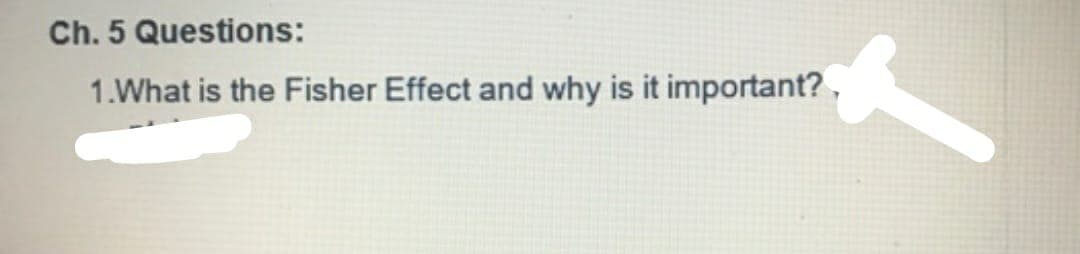 Ch. 5 Questions:
1.What is the Fisher Effect and why is it important? ,
