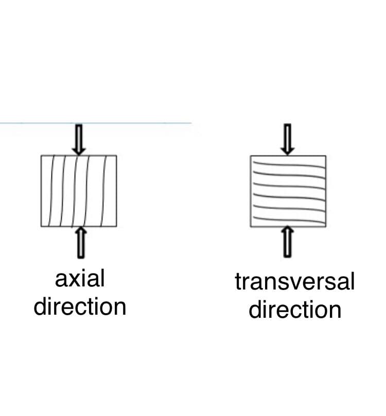 axial
transversal
direction
direction
