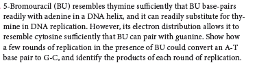 5-Bromouracil (BU) resembles thymine sufficiently that BU base-pairs
readily with adenine in a DNA helix, and it can readily substitute for thy-
mine in DNA replication. However, its electron distribution allows it to
resemble cytosine sufficiently that BU can pair with guanine. Show how
a few rounds of replication in the presence of BU could convert an A-T
base pair to G-C, and identify the products of each round of replication.
