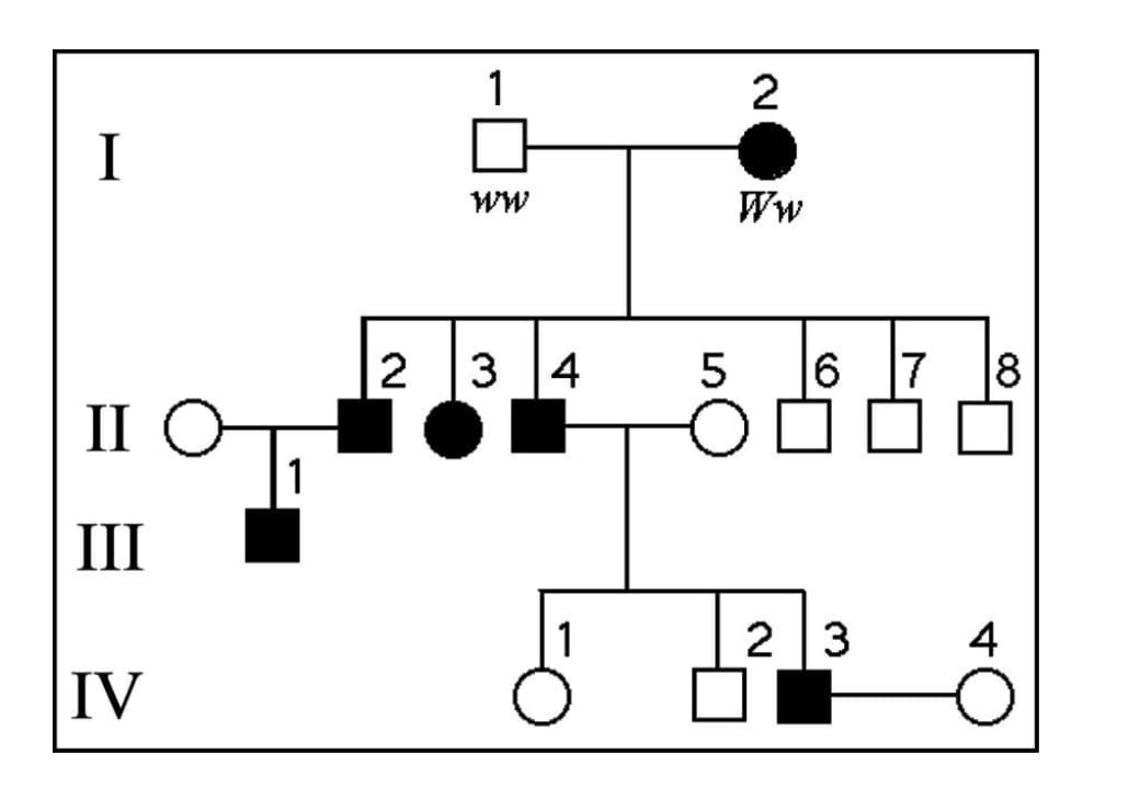 2
I
ww
2
3 4
II O
1
II
2 3
4
IV
