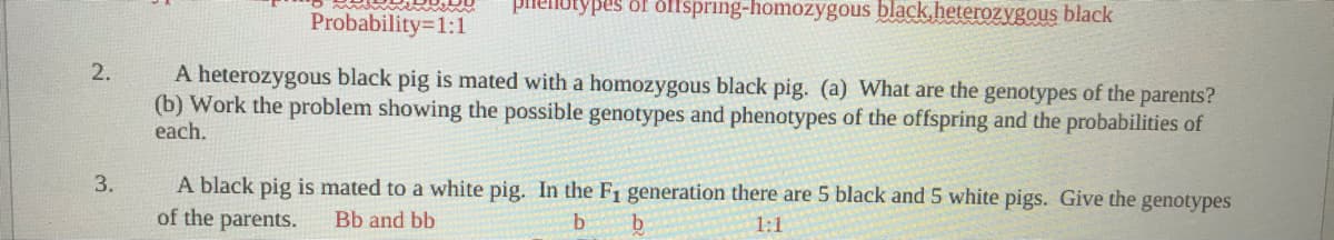 enotypes of ofspring-homozygous black.heterozygous black
Probability=1:1
2.
A heterozygous black pig is mated with a homozygous black pig. (a) What are the genotypes of the parents?
(b) Work the problem showing the possible genotypes and phenotypes of the offspring and the probabilities of
each.
A black pig is mated to a white pig. In the F1 generation there are 5 black and 5 white pigs. Give the genotypes
of the parents.
3.
Bb and bb
1:1
